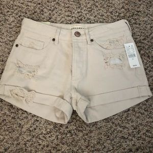 Distressed Shorts - LAST CHANCE